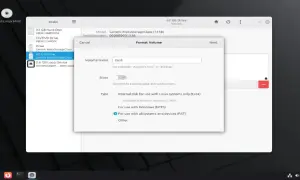 Okno dialogowe "Format Volume" w systemie Linux. Wybieram formatowanie dysku 62 GB na FAT.