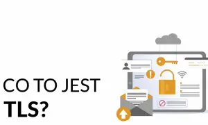 Grafika ilustruje bezpieczeństwo danych, klucz do nich i hasło. Dowiedz się, co to jest TLS i jak chroni Twoje informacje.