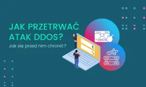 Grafika ilustruje jak przetrwać atak DDoS. Widzimy laptopa, ikonę bomby z napisem DDoS i rakietę atakującą serwery.