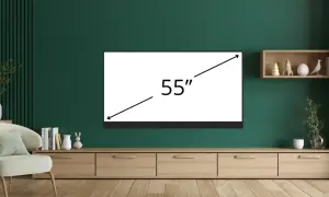 Nowoczesny salon z telewizorem 55 cali. Na ścianie wisi półka z dekoracjami.