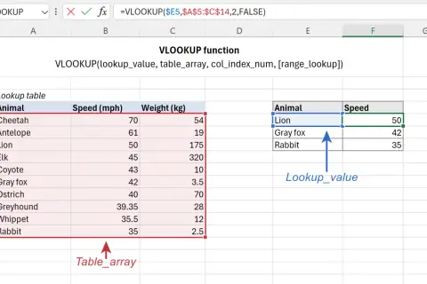 Arkusz kalkulacyjny z funkcją VLOOKUP. Wyszukaj pionowo dane zwierzęcia w tabeli.