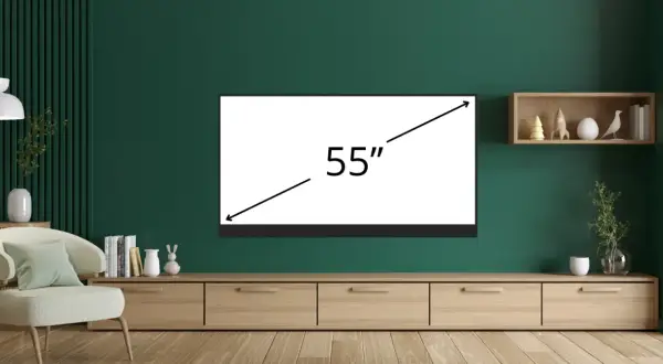 Nowoczesny salon z telewizorem 55 cali. Na ścianie wisi półka z dekoracjami.
