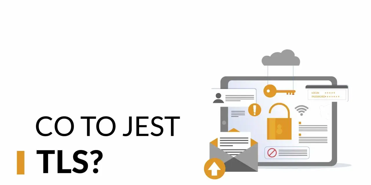 Grafika ilustruje bezpieczeństwo danych, klucz do nich i hasło. Dowiedz się, co to jest TLS i jak chroni Twoje informacje.